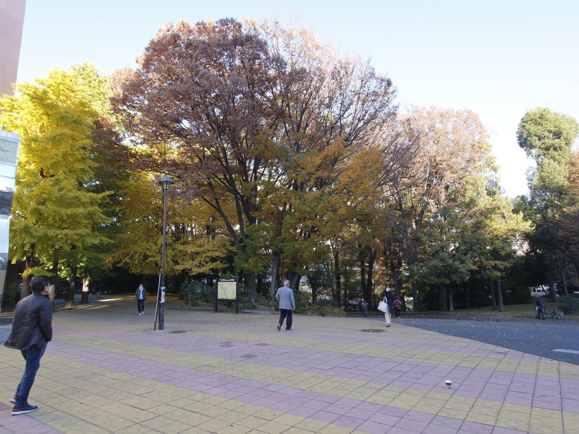 和貴ビル Apartman Tokió Kültér fotó