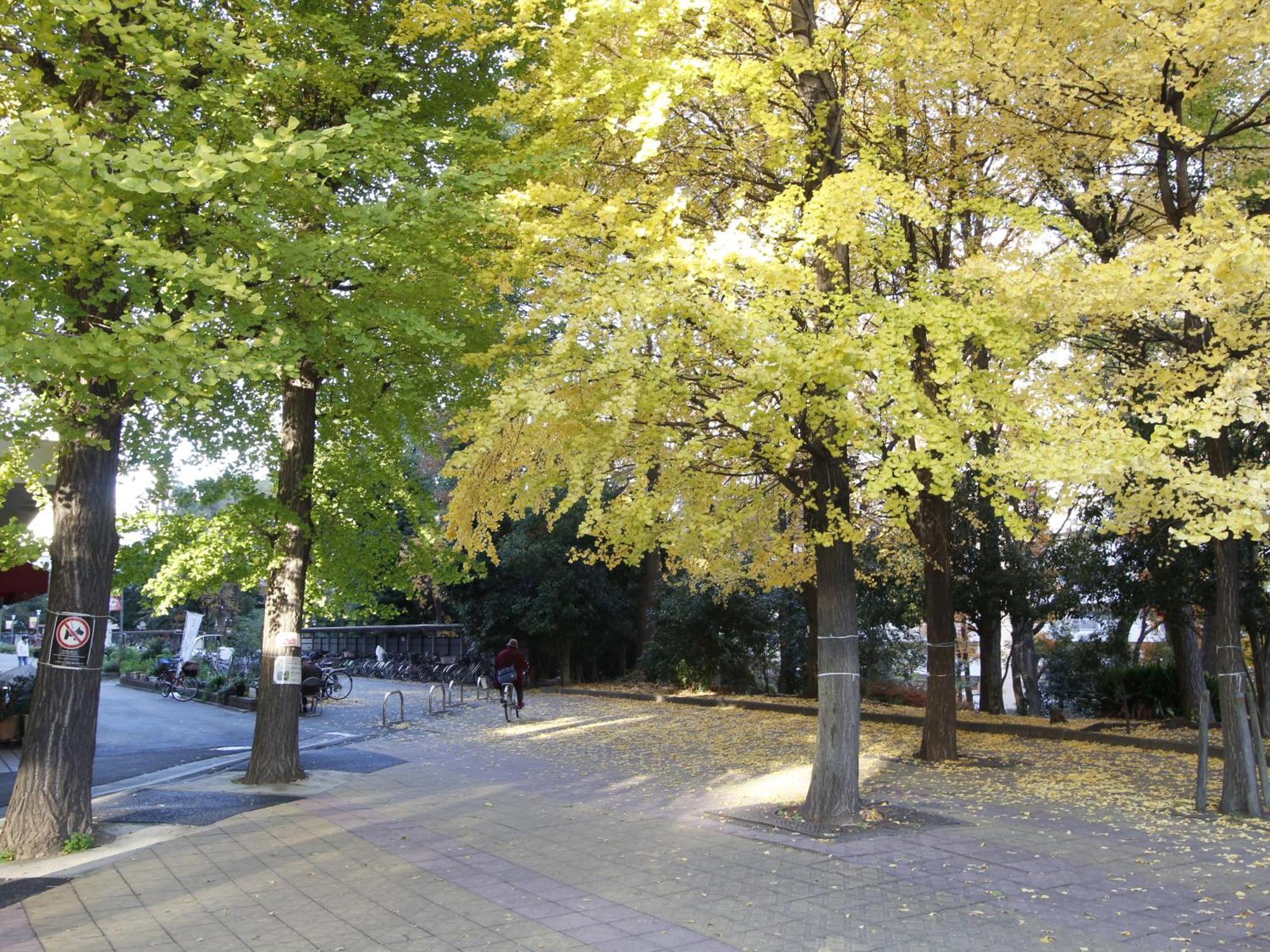 和貴ビル Apartman Tokió Kültér fotó